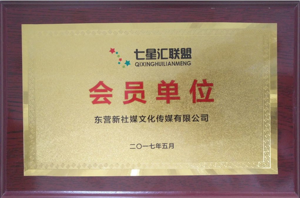 【榮譽(yù)資質(zhì)】會(huì)員單位-七星匯聯(lián)盟